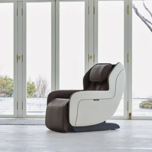 Circ+ (gray) – Zero Gravity Sl Track Heated Massage Chair